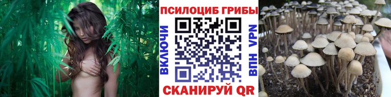 Псилоцибиновые грибы MAGIC MUSHROOMS  кракен зеркало  Сим 
